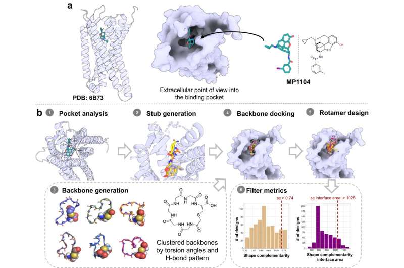 New approach to drug discovery: Pain medication with fewer side effects developed