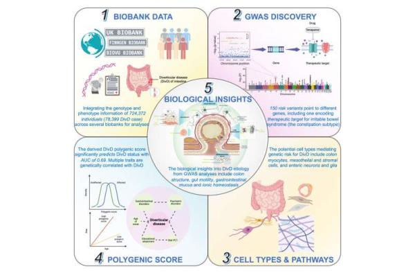 Genetics shed light on causes of intestinal disease