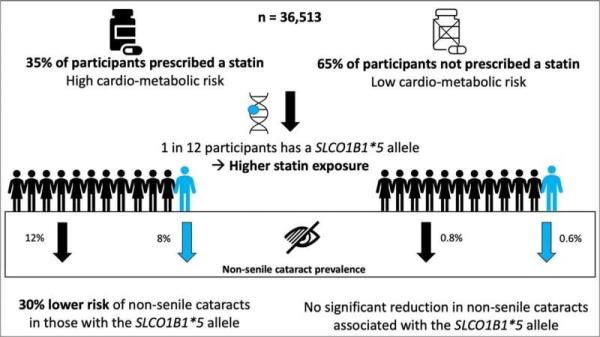 Genetic study of British south Asians challenges previous work l<em></em>inking statin use to increased cataract risk