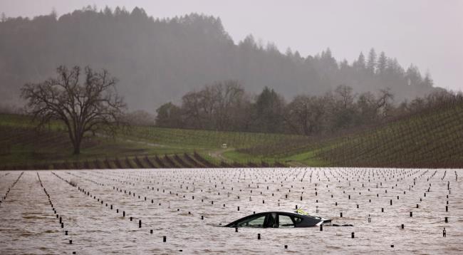 A vehicle driven by Daphne Fontino, 43, of Ukiah, begins to emerge as floodwaters recede at an area vineyard, Saturday, Jan. 14, 2023. Fo<em></em>ntino died after being swept off Trenton-Healdsburg Road by floodwaters near Forestville on Jan. 10. (Kent Porter / The Press Democrat file)